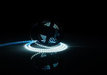 PRO BASIC 3Y 12V SMD2835 300LED stripe 6W/m IP20 cold white, 5m roll