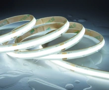 24V zoomLED SMD Strip IP65 10W 6500K FOB 5m